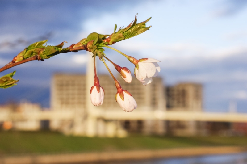 10 most beautiful places in Lithuania